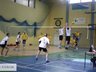 siatkowkadominiaka-19